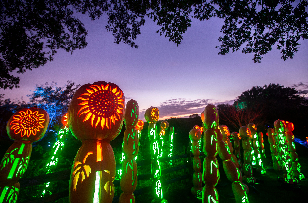 The Great Jack O’Lantern Blaze Returns, Now in Hudson Valley & Long Island