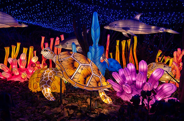 Bronx Zoo’s Holiday Lights Festival Returns Nov. 19, Tickets on Sale Now