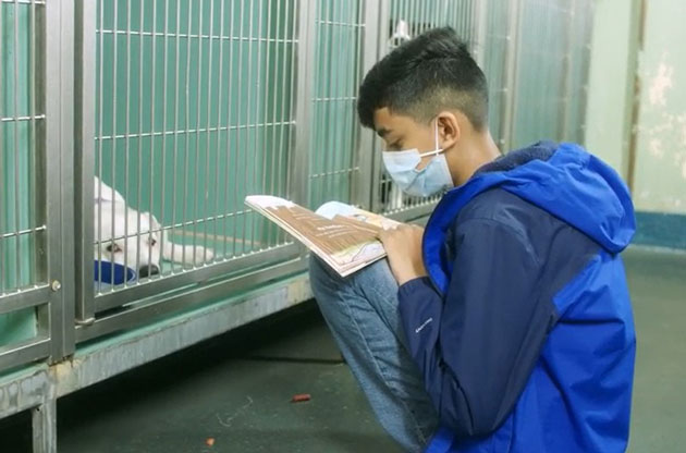 11-Year-Old Bronx Boy Brings Love and Hope to Shelter Dogs