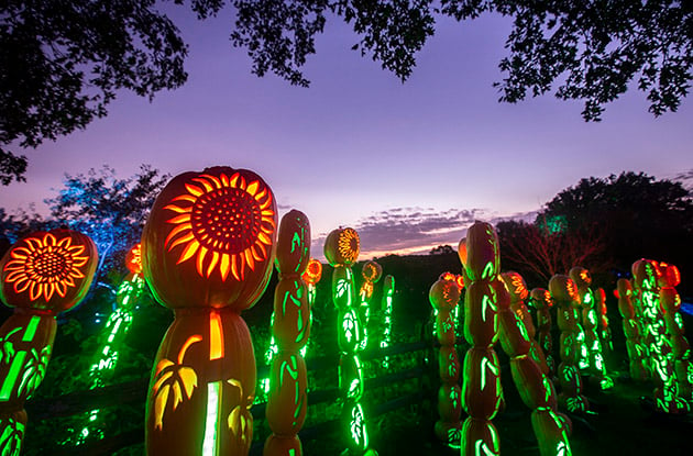 The Great Jack O'Lantern Blaze Returns to Westchester and Long Island This Year