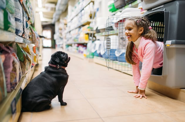 Pet Stores in and Around NYC