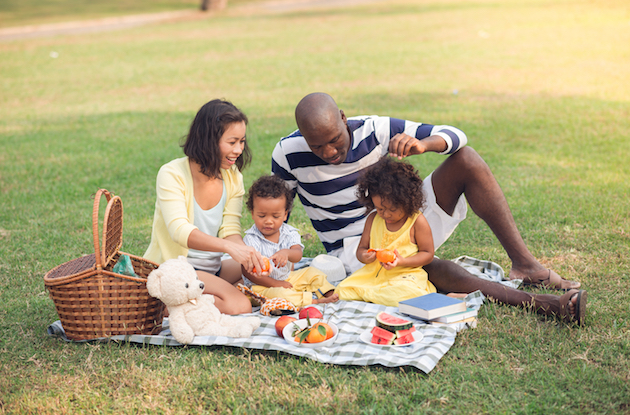 Best Picnic Spots for Families in NYC, Long Island, and Westchester