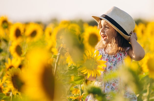 These Are the Top 5 Sunflower Mazes Near Rockland County